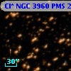 Cl* NGC 3960    PMS   24510