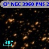 Cl* NGC 3960    PMS   23807