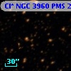 Cl* NGC 3960    PMS   20106