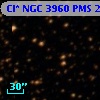 Cl* NGC 3960    PMS   21891