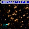 Cl* NGC 3960     PM      47