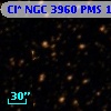 Cl* NGC 3960    PMS    1704