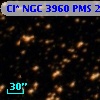 Cl* NGC 3960    PMS   24226