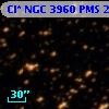 Cl* NGC 3960    PMS   24601