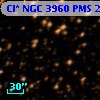 Cl* NGC 3960    PMS   26130