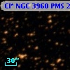 Cl* NGC 3960    PMS   25020