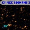 Cl* NGC 3960    PMS   25091