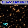 Cl* NGC 3960    PMS   23069