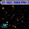 Cl* NGC 3960    PMS   21889