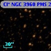 Cl* NGC 3960    PMS    2232