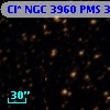 Cl* NGC 3960    PMS    3807