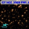 Cl* NGC 3960    PMS  300762
