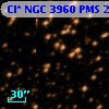 Cl* NGC 3960    PMS   20431