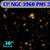Cl* NGC 3960    PMS   23231