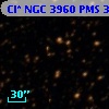 Cl* NGC 3960    PMS  300048