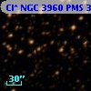 Cl* NGC 3960    PMS  300721