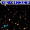 Cl* NGC 3960    PMS  301935