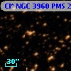 Cl* NGC 3960    PMS   24365