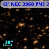 Cl* NGC 3960    PMS   23025
