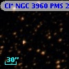 Cl* NGC 3960    PMS   20866