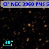 Cl* NGC 3960    PMS     516