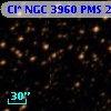 Cl* NGC 3960    PMS   21109
