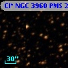 Cl* NGC 3960    PMS   22054