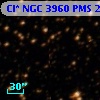 Cl* NGC 3960    PMS   23537