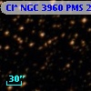 Cl* NGC 3960    PMS   24500