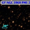 Cl* NGC 3960    PMS   20367
