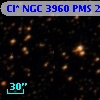 Cl* NGC 3960    PMS   26295