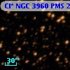 Cl* NGC 3960    PMS   22389