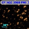 Cl* NGC 3960    PMS   21866