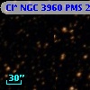 Cl* NGC 3960    PMS    2459