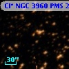 Cl* NGC 3960    PMS   23898