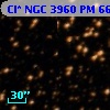Cl* NGC 3960     PM      66