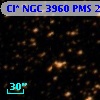 Cl* NGC 3960    PMS   25184