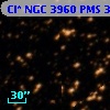 Cl* NGC 3960    PMS  301504