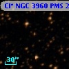 Cl* NGC 3960    PMS   25981