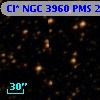 Cl* NGC 3960    PMS   24736
