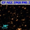 Cl* NGC 3960    PMS   23229