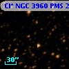 Cl* NGC 3960    PMS   20115