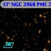 Cl* NGC 3960    PMS     207
