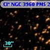 Cl* NGC 3960    PMS   20734