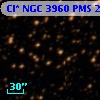 Cl* NGC 3960    PMS   25437