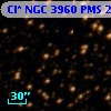 Cl* NGC 3960    PMS   25444