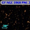 Cl* NGC 3960    PMS    2466