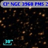 Cl* NGC 3960    PMS   21642