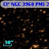 Cl* NGC 3960    PMS   20870