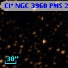 Cl* NGC 3960    PMS   21306